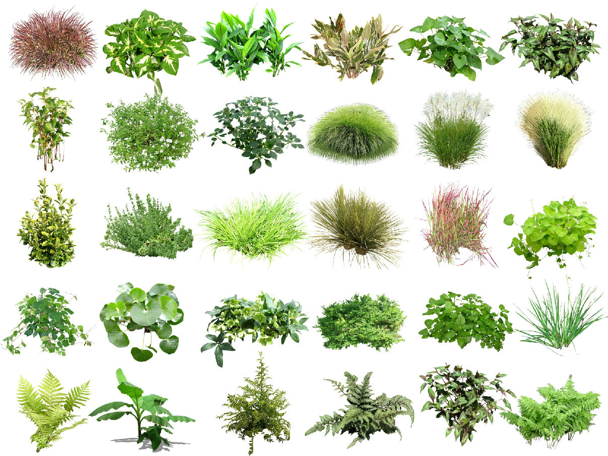 当前位置: 全部素材 动物植物人物 植物模型 花草 0/0 收藏 此图片