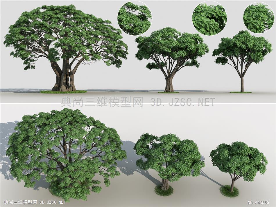 现代榕树 虎克榕 植被 热带植物 景观树3d模型3dmax模型 植物模型(精)