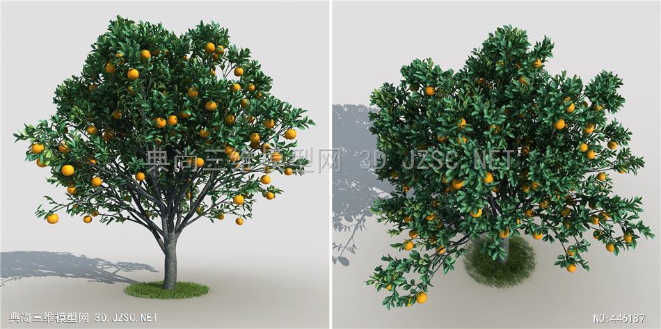 现代果树橙子树植物树木3dmax模型