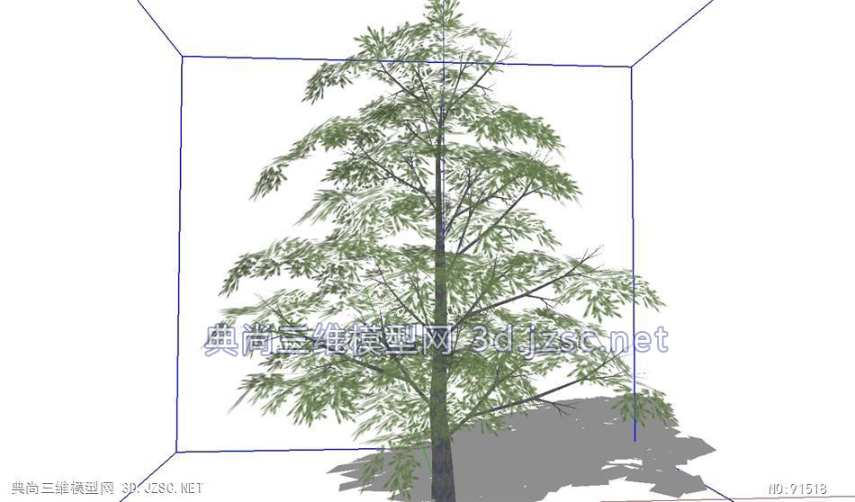 落羽杉树的su模型设计su模型