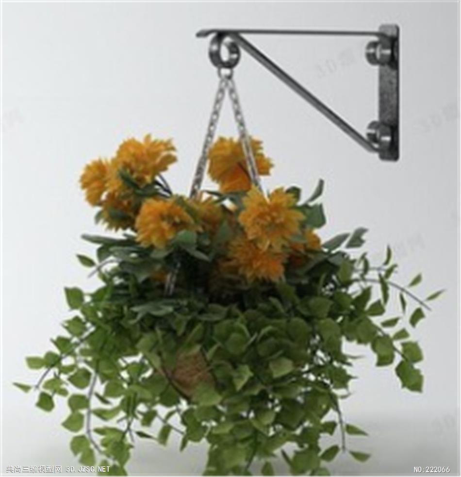 吊花篮、吊篮、花盆、盆栽