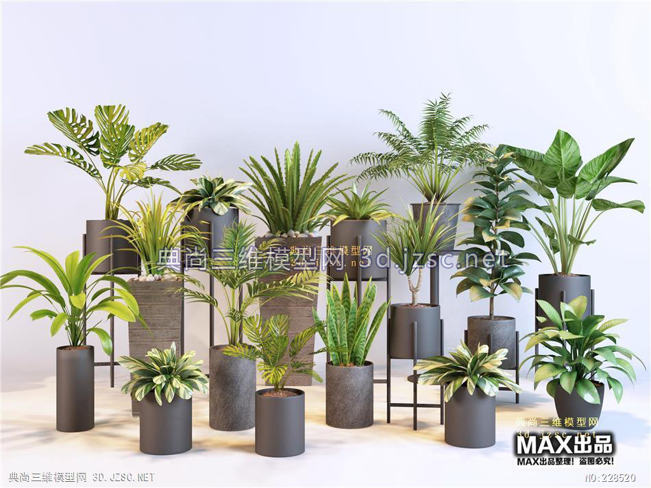 现代温热带植物盆栽组合3d模型id:269842 室内植物3dmax模型 室内植物