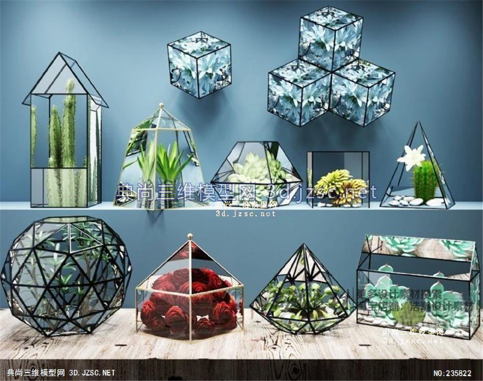 微景观生态瓶苔藓瓶几何玻璃花房多肉花房五角玻璃花房[模型ID132974]物装饰墙3D单体模型 墙面