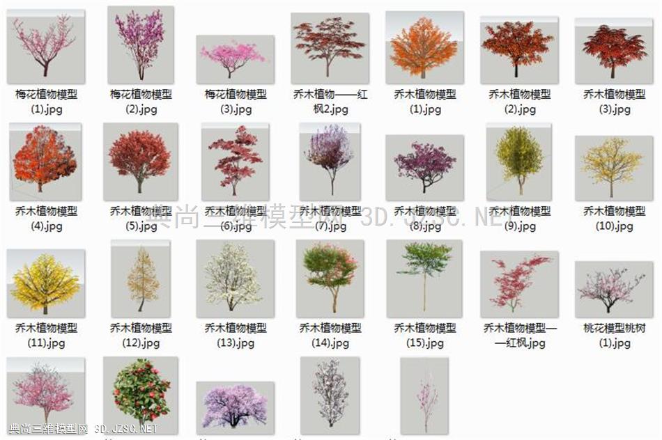 【合集】乔木植物26个模型库