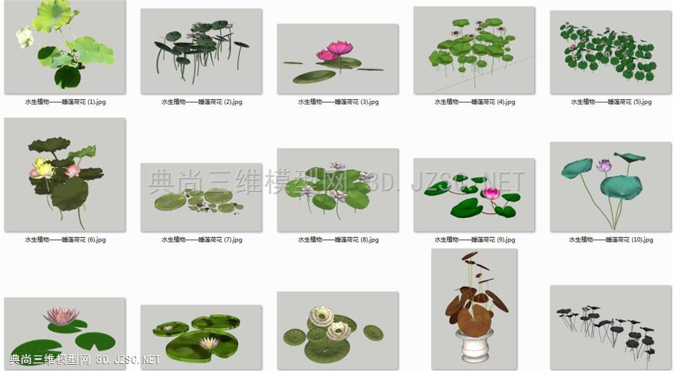 【合集】水生植物模型——荷花荷叶睡莲模型库
