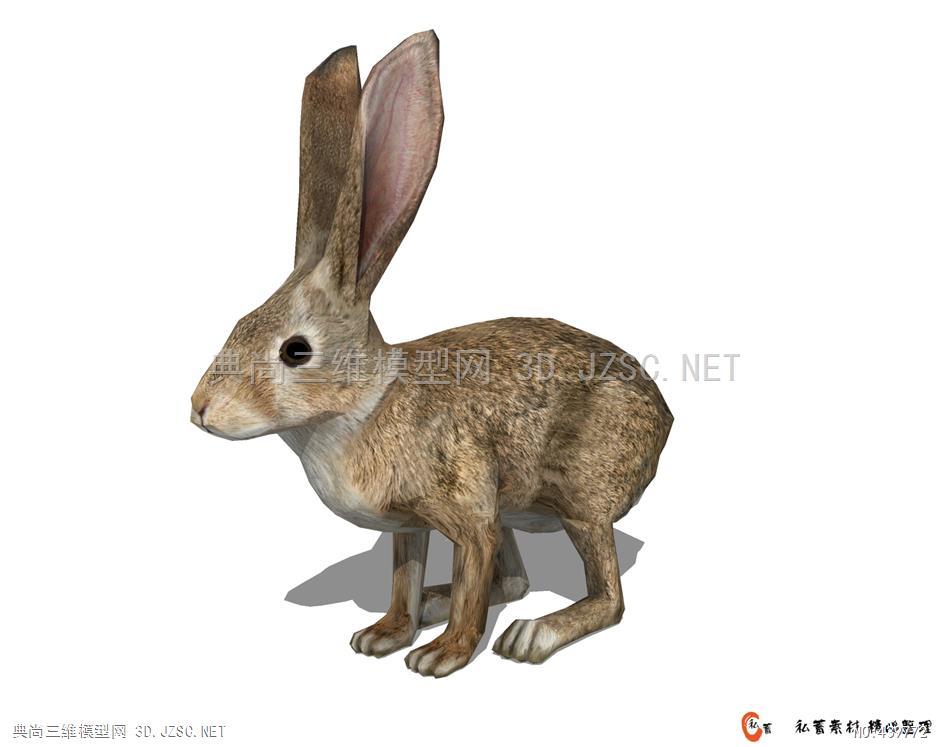 3d动物-兔子 (3)su模型 动物模型su模型