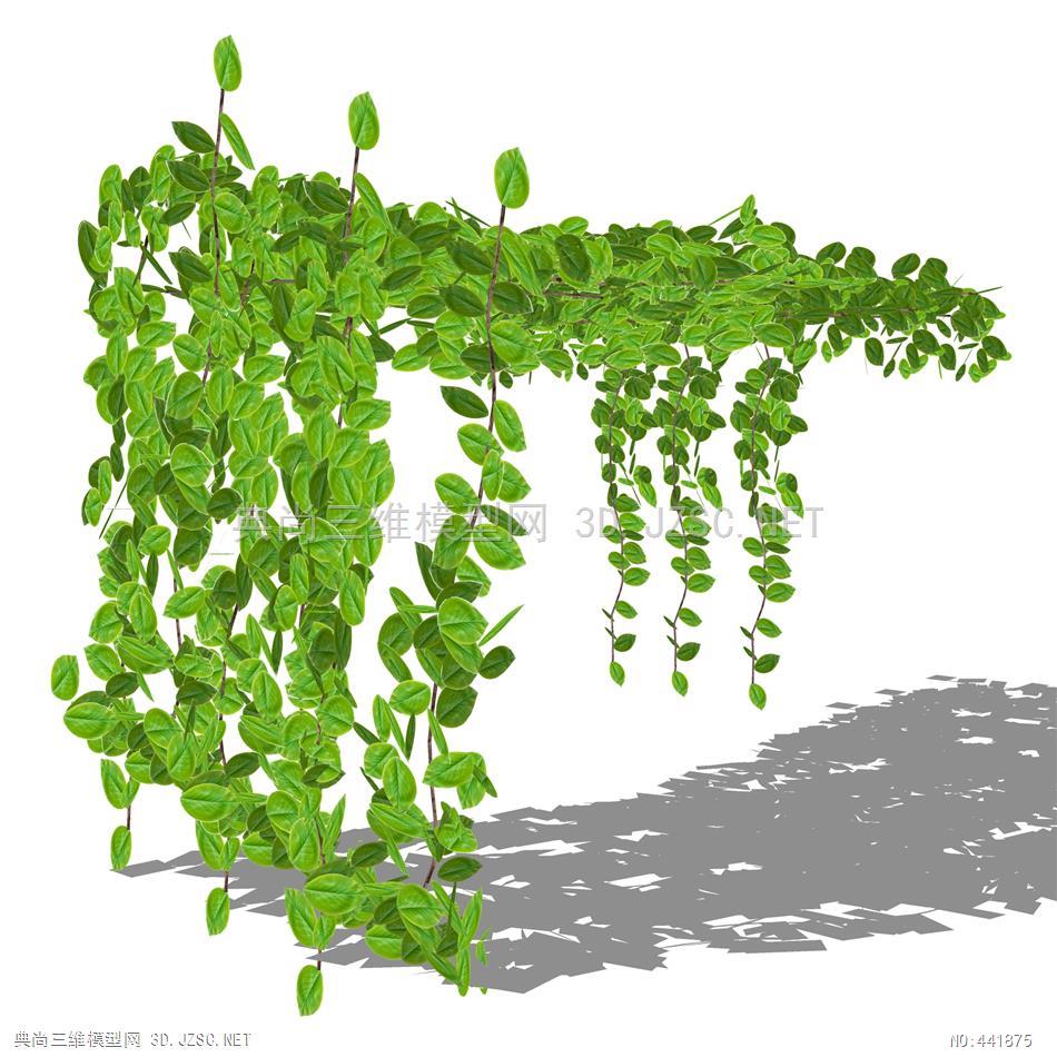 藤本藤蔓攀爬植物-19su模型 植物模型su模型