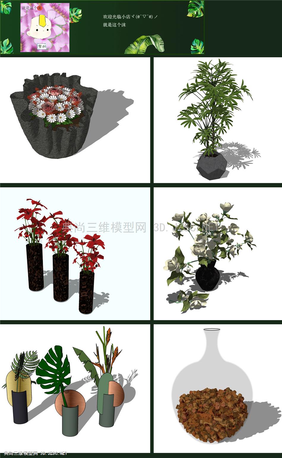 装饰花瓶植物