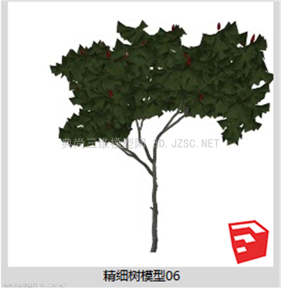 精细树模型06