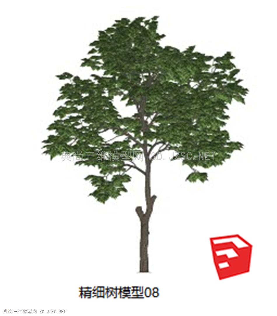 精细树模型08