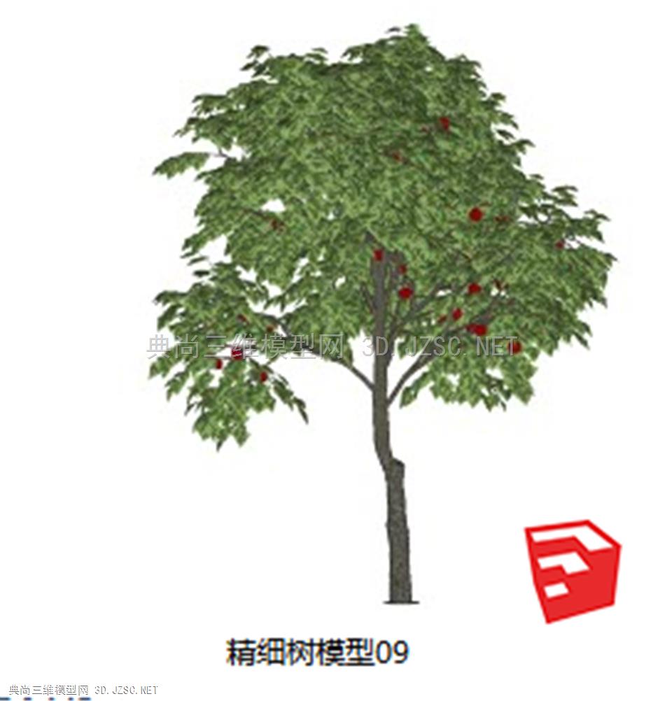 精细树模型09