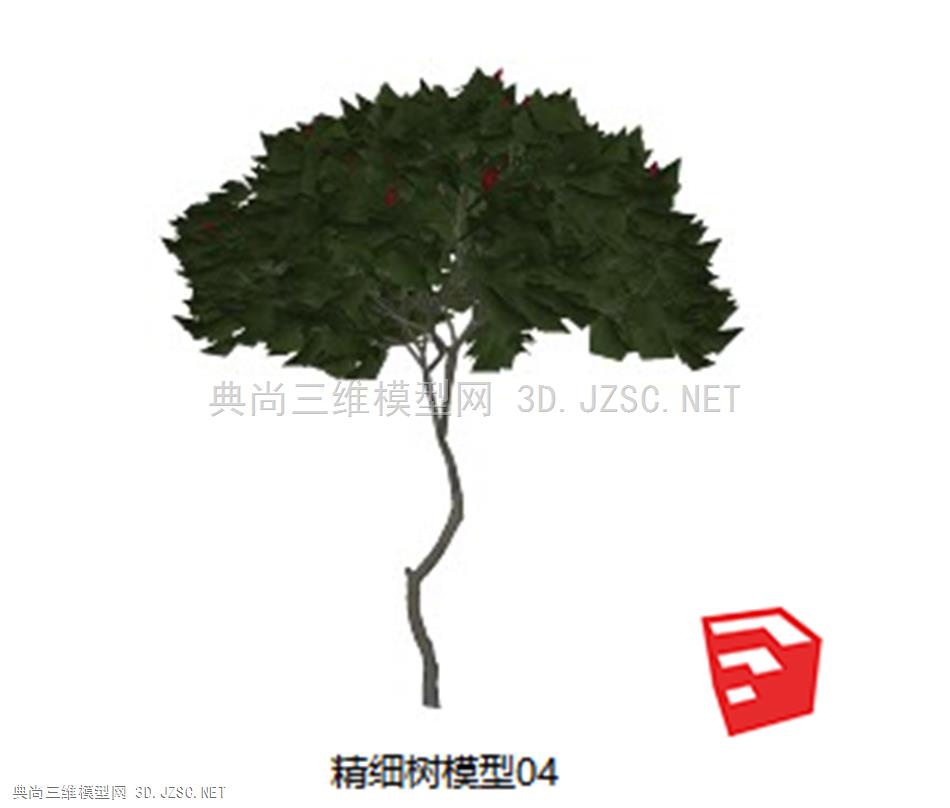 精细树模型04