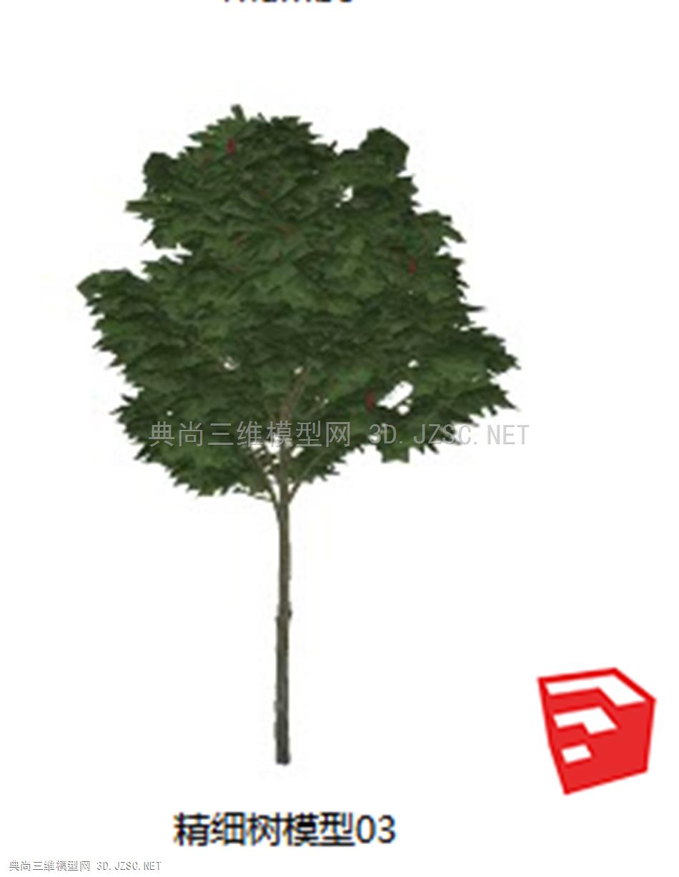 精细树模型03