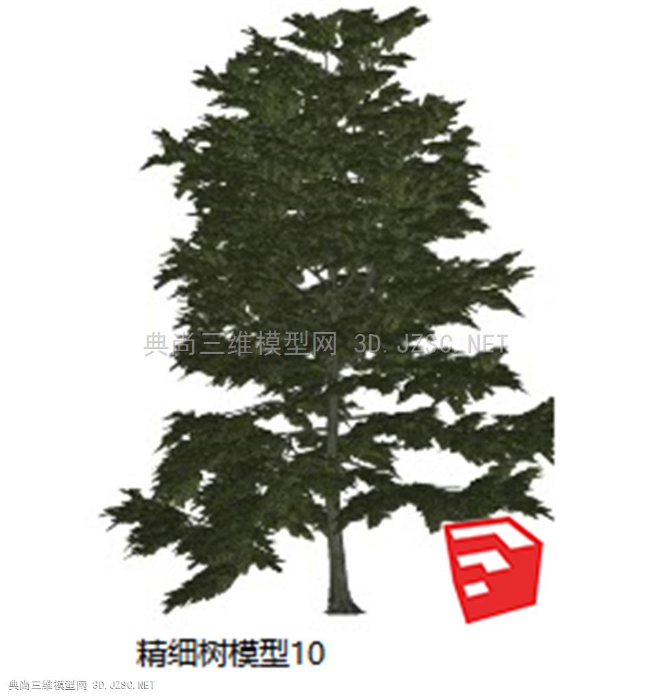 精细树模型10