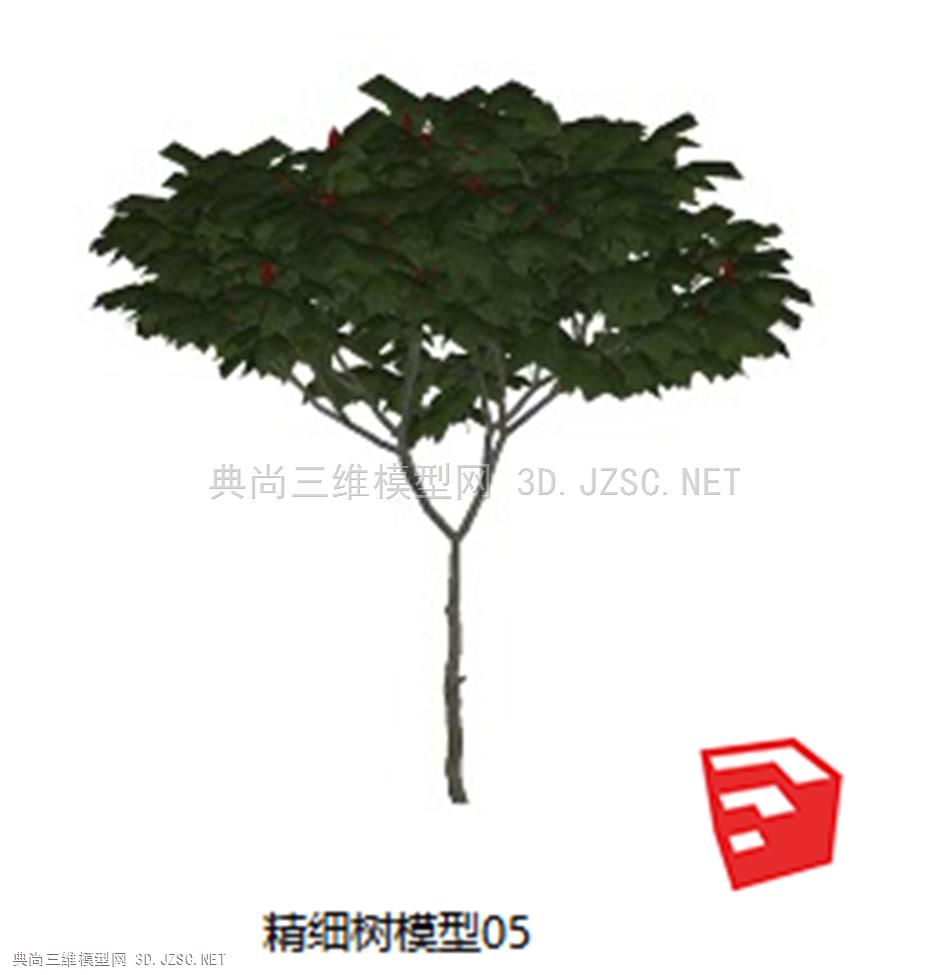 精细树模型05