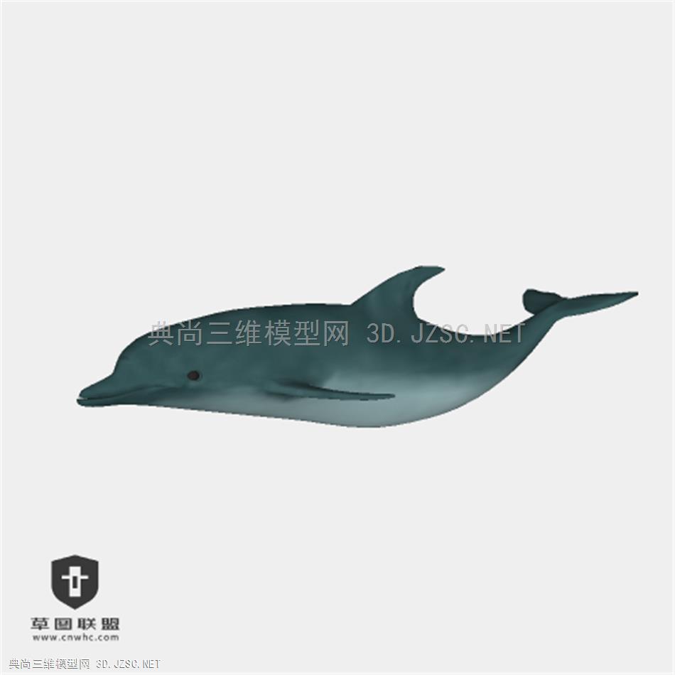 045_动物二 海豚