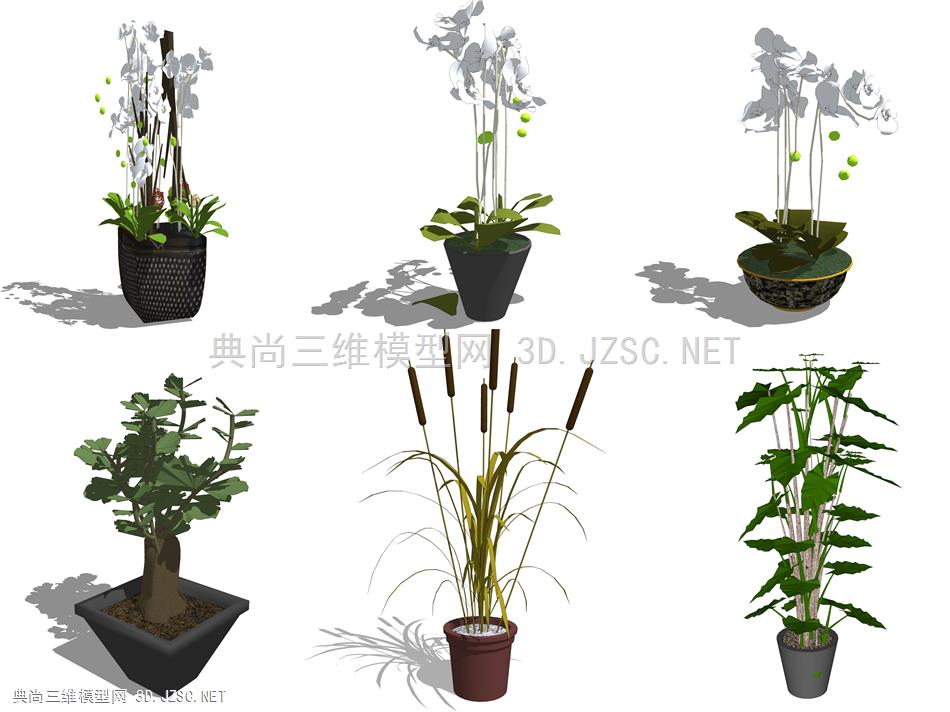 新中式植物盆栽