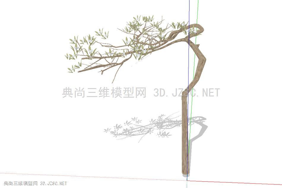 造型树lcs5