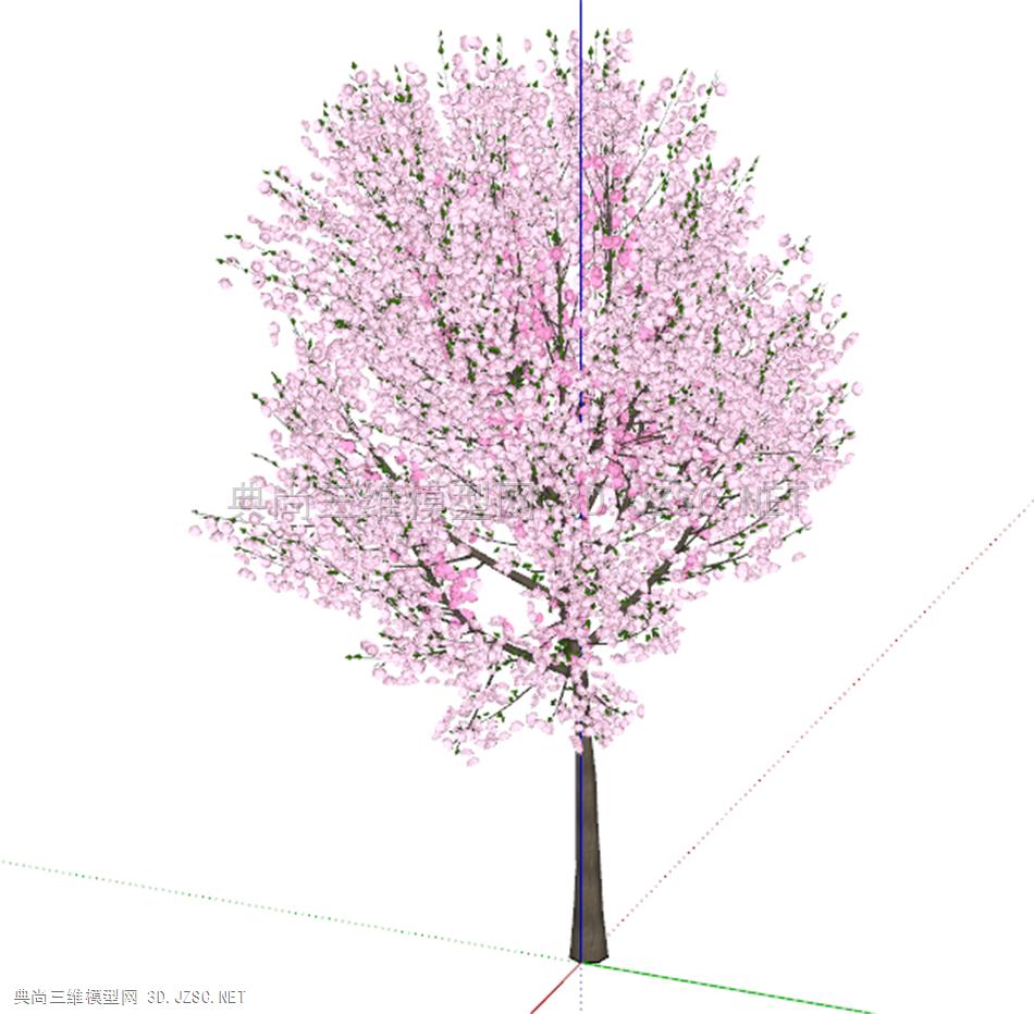 现代樱花树SU模型