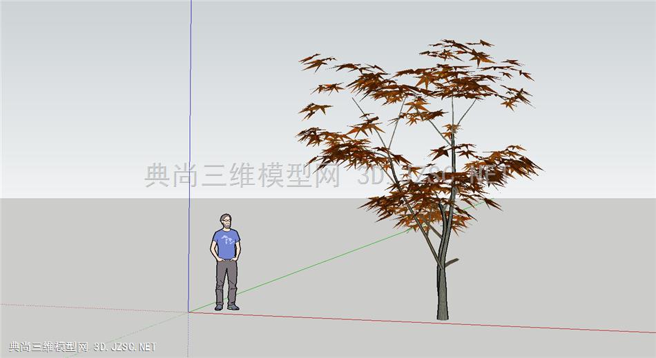 3D树、红枫