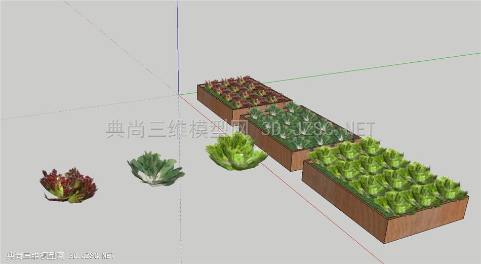 儿童、菜盒、植物、菜、田园、果蔬