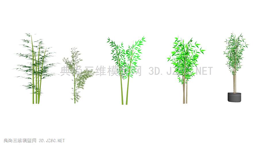植物、竹子、竹