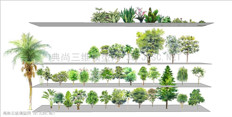 现代植物SU模型