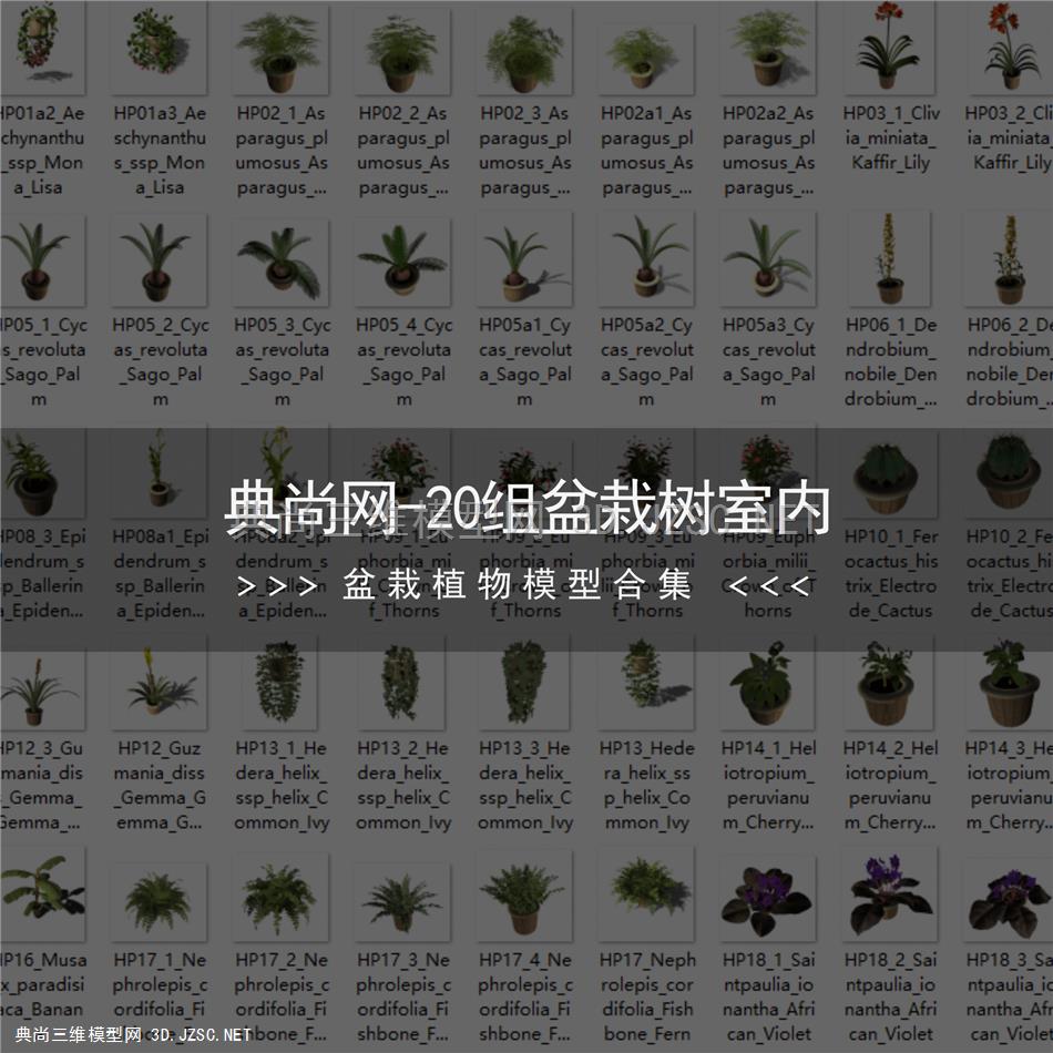 20组盆栽树室内 C4D模型