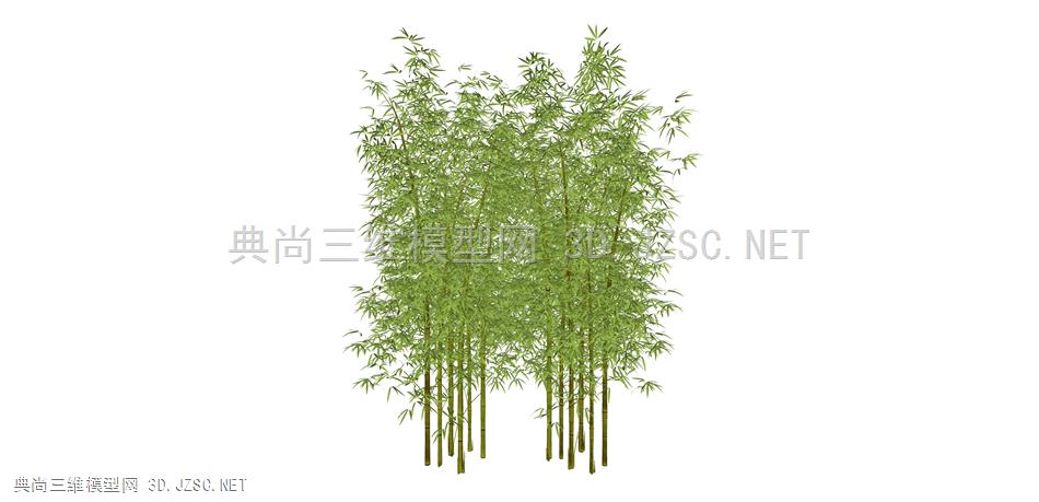 竹子 枯山水27 绿植 青竹