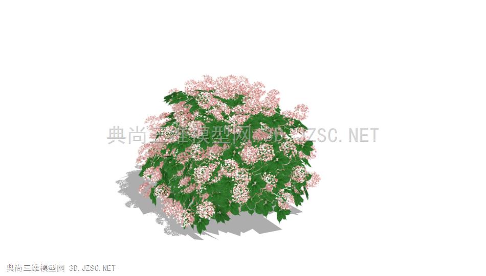 景观 植物 绣球 绣球花 3D 3d SU su 模型 精品模型 lumion可直接使用