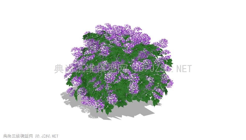 景观 植物 绣球 绣球花 3D 3d SU su 模型 精品模型 lumion可直接使用