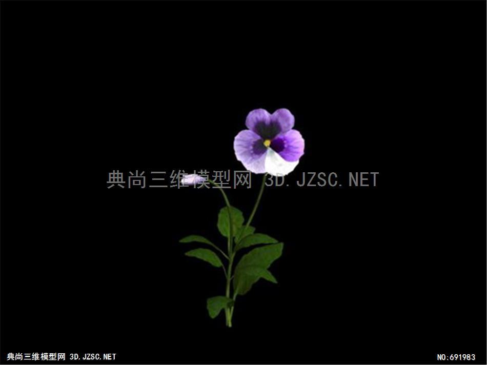三色堇 紫罗兰 花卉植物模型-花004 3dmax植物三维模型3dmax模型