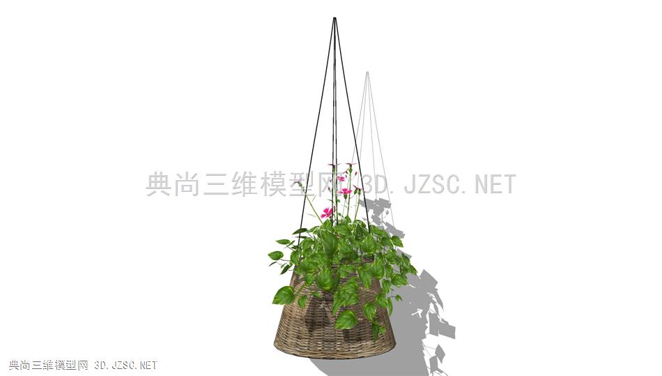 悬垂绿萝植物 (8)