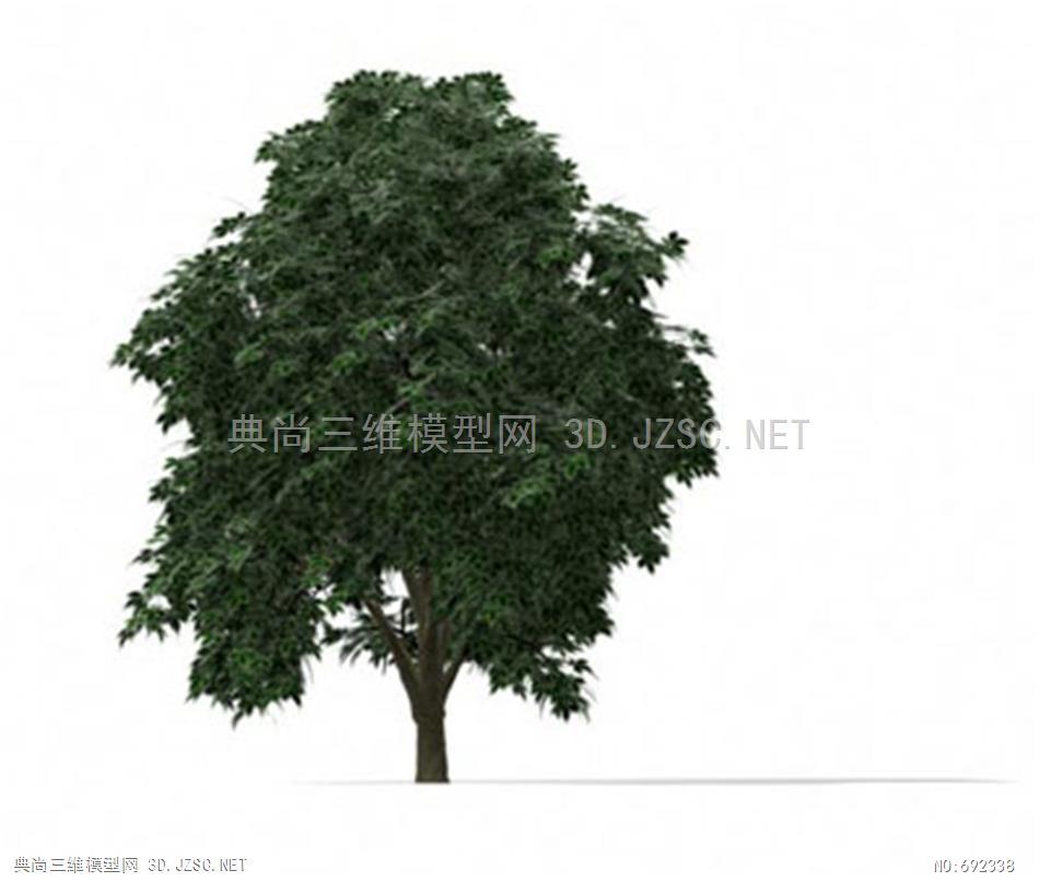 树 阔叶树 香樟 雪树银花植物模型-树模001 3dmax植物三维模型3dmax