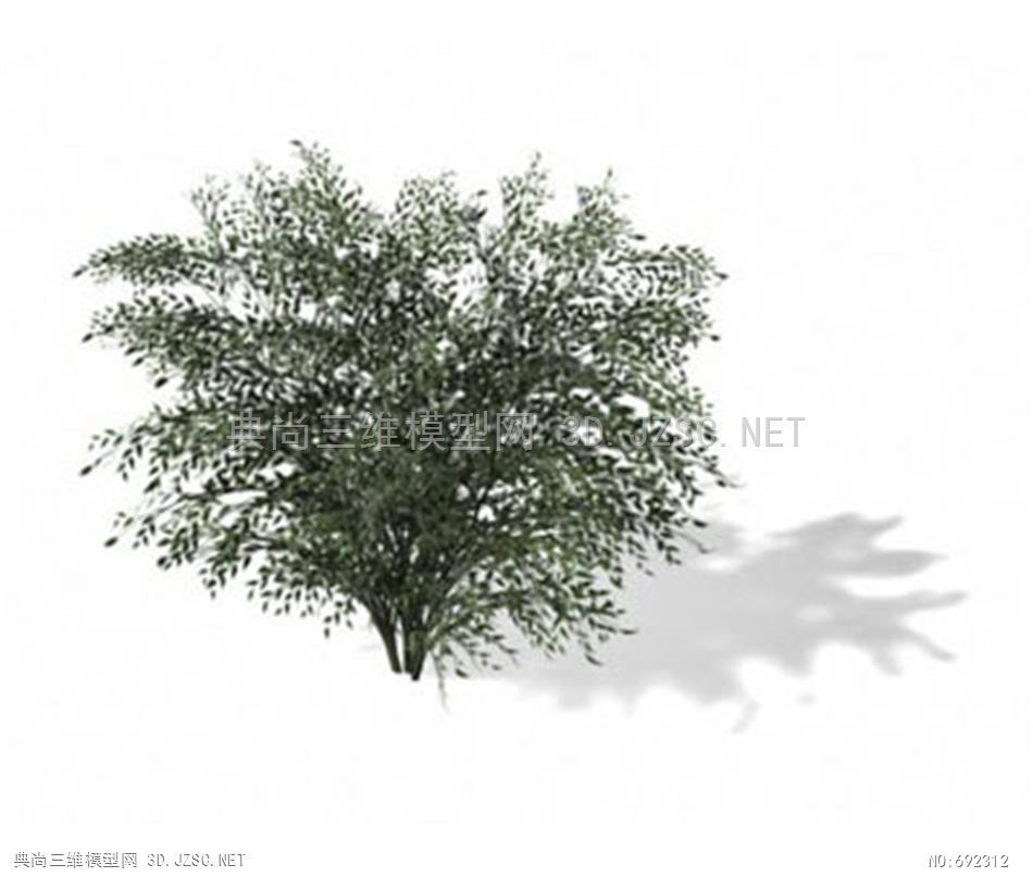 树 简笔画 阔叶树 绘画植物模型-盆栽22 3dmax植物三维模型3dmax模型