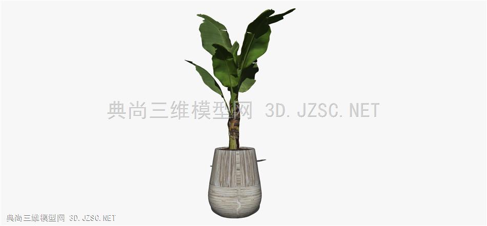 现代风格装饰植物盆栽 (115)