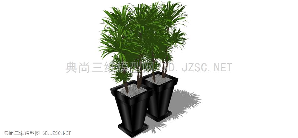 现代风格装饰植物盆栽 (179)