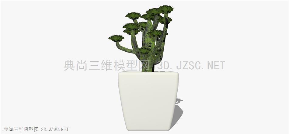 现代风格装饰植物盆栽 (55)