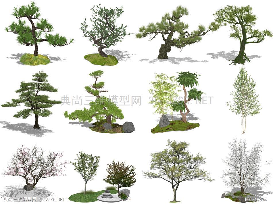 中式3d景观树松树观赏树庭院树禅意植物造型松迎客松su模型