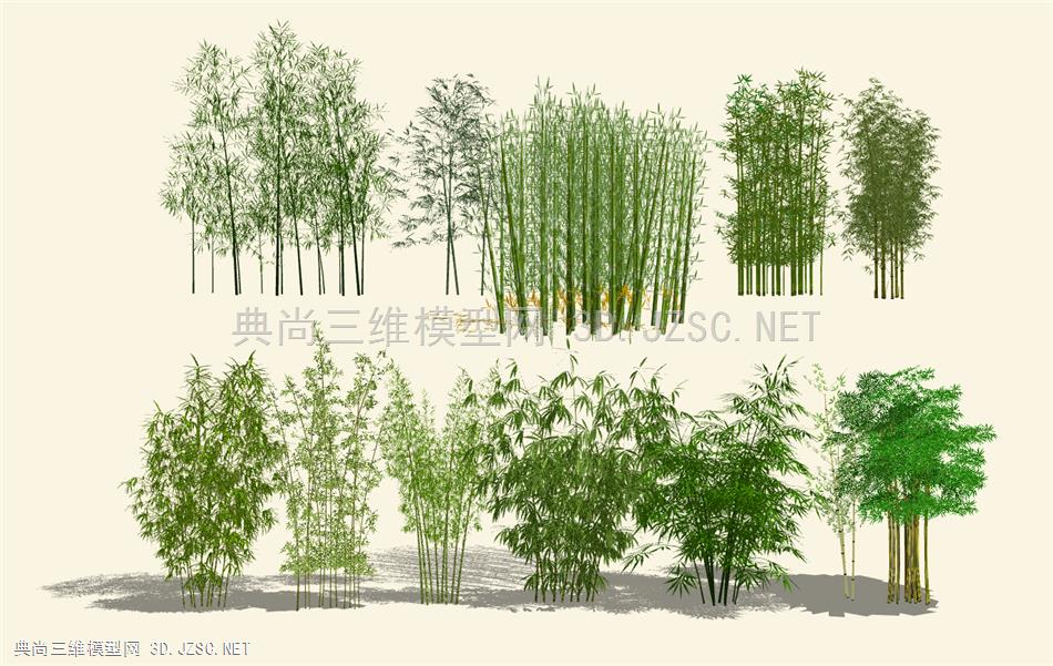 现代竹子 竹林 绿植 精细竹子竹林