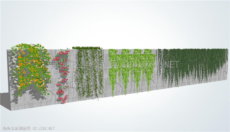 藤本爬墙植物