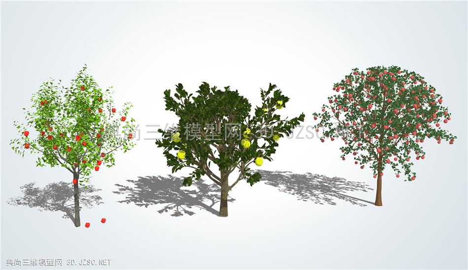 现代果树 芒果 苹果树