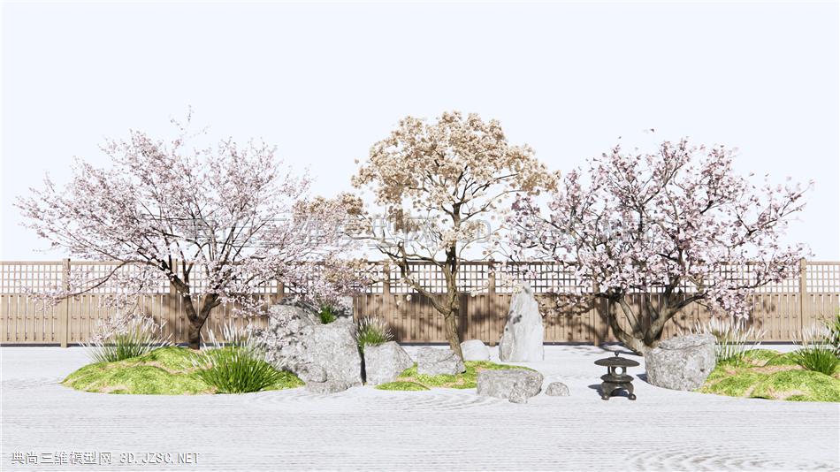日式景观树 樱花树 枯山石庭院景观 原创