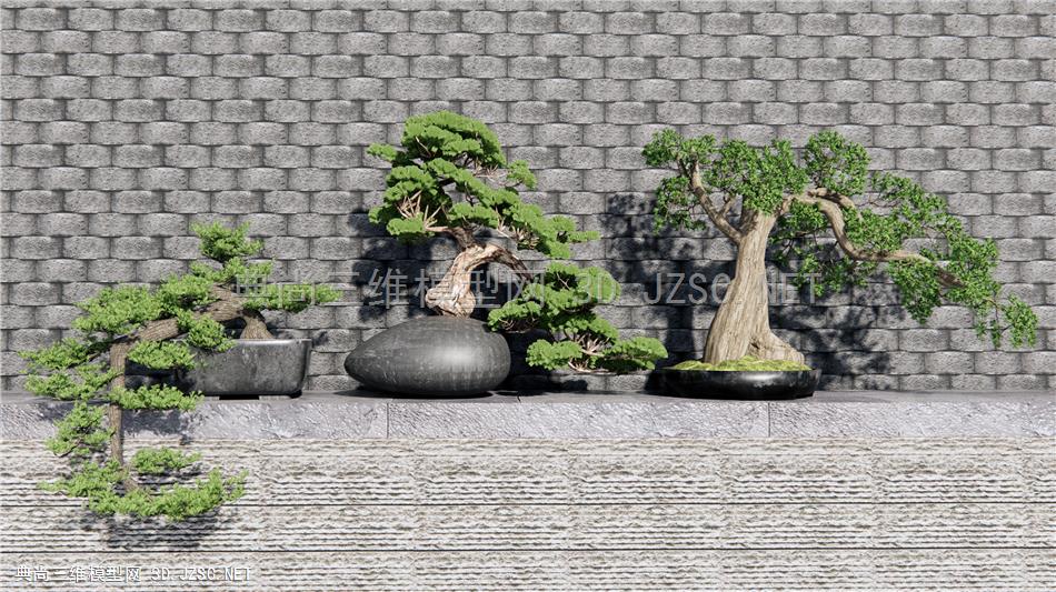 新中式松树盆栽 植物盆景摆件 松树盆景 原创