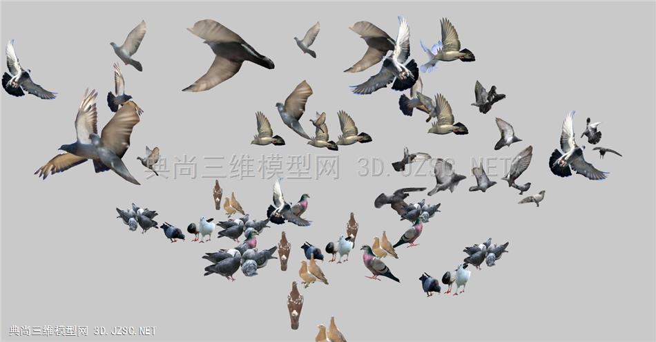 现代2D二维鸟类组合