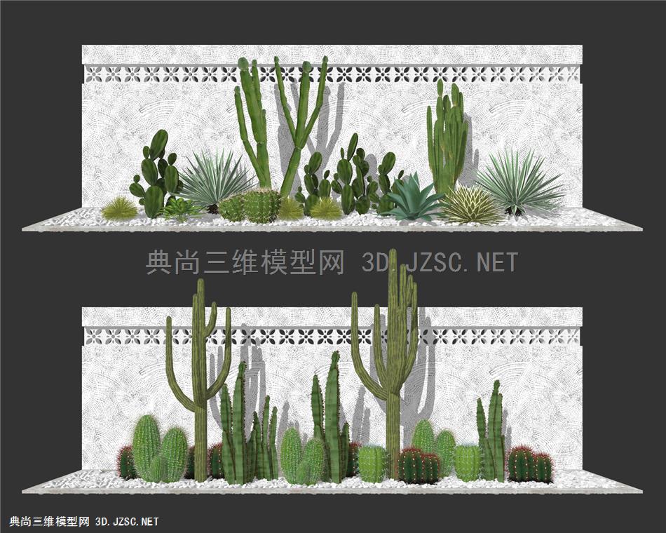 庭院造景植物组合 热带植物 仙人掌 灌木 