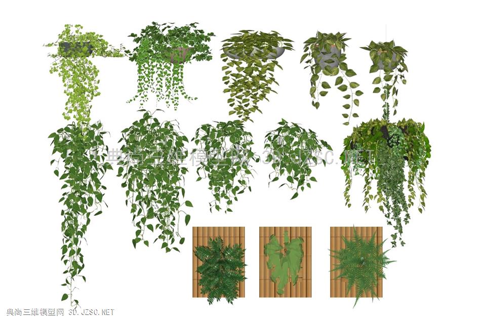 现代植物盆栽悬挂植物 绿萝 绿植墙 