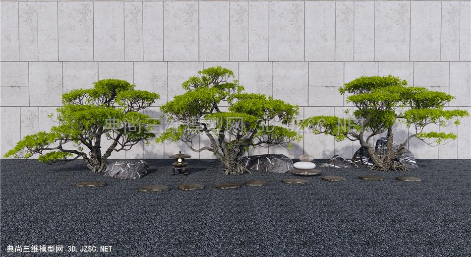 新中式造型松树 景观树 石头 景观石1