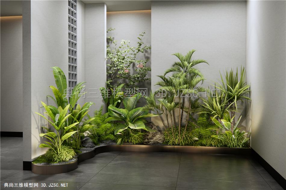 现代植物组合 热带植物 花草 植物堆 室内植物造景