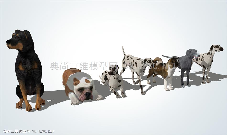 宠物狗